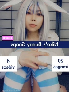 13491064