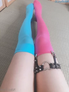 15573044