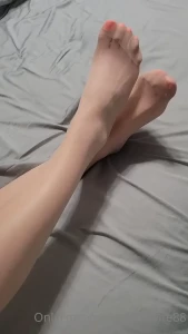 10808306