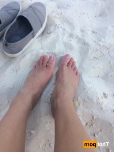 16229368