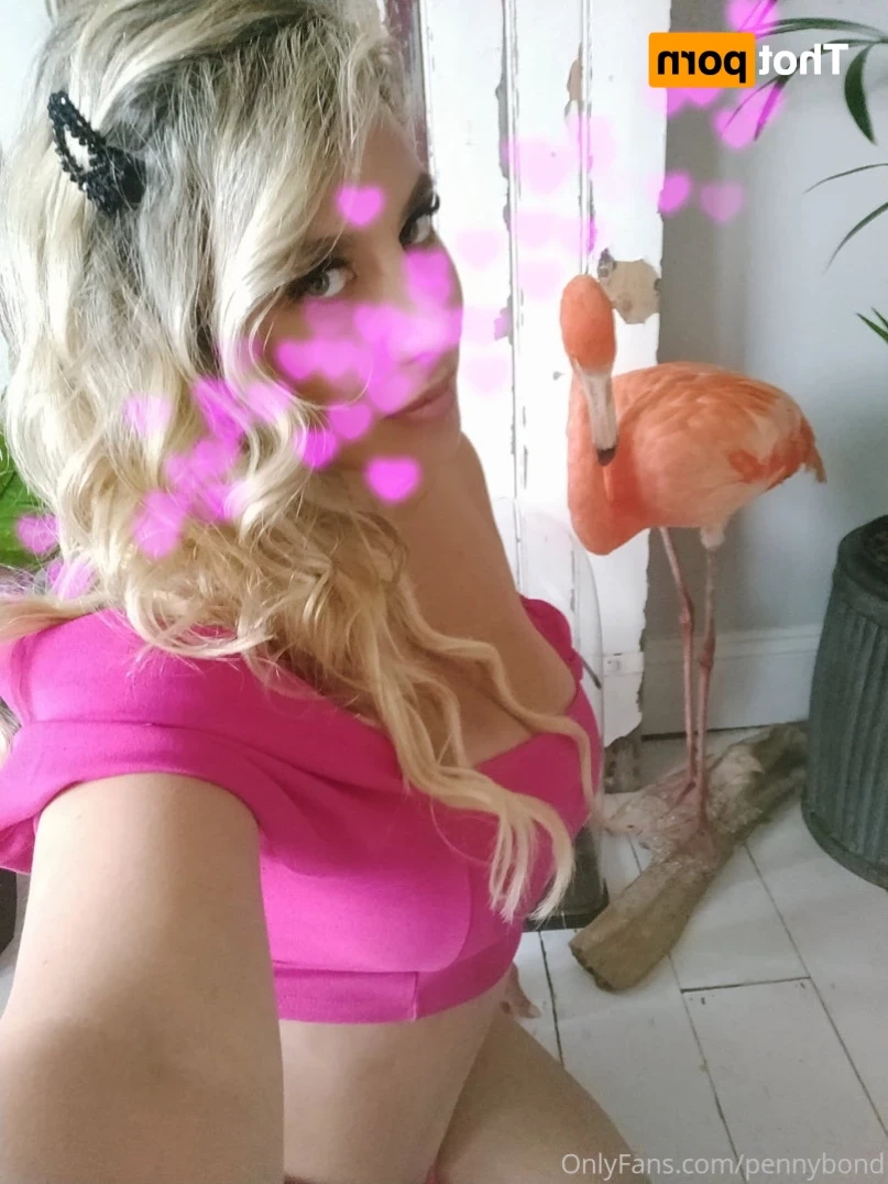 pennybond Onlyfans leaked photo 15850807 on Hotleaks.tv