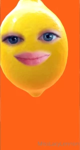 10728955