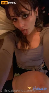 16085255