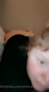 Sunshine🍧 ur sex kitten 🥰 [ princesssunshine ] Onlyfans leaked video 10806272 on Hotleaks.tv