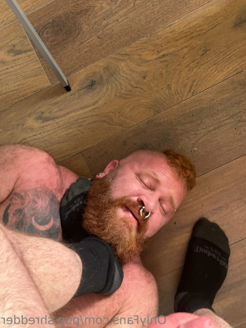 Pup Shredder [ pup.shredder ] Onlyfans leaked photo 12040953 on Hotleaks.tv