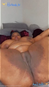 11870376