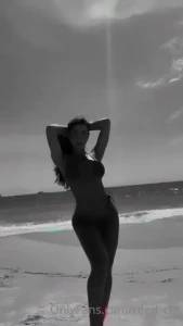 18119604