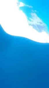 9532032