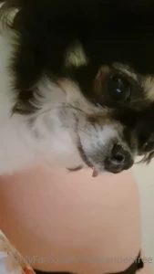 10805145