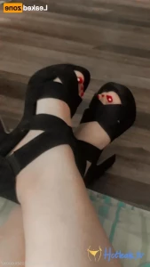 16302995