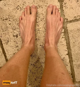 15588697