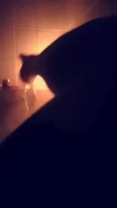 18117995