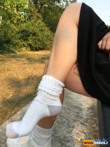 16211050