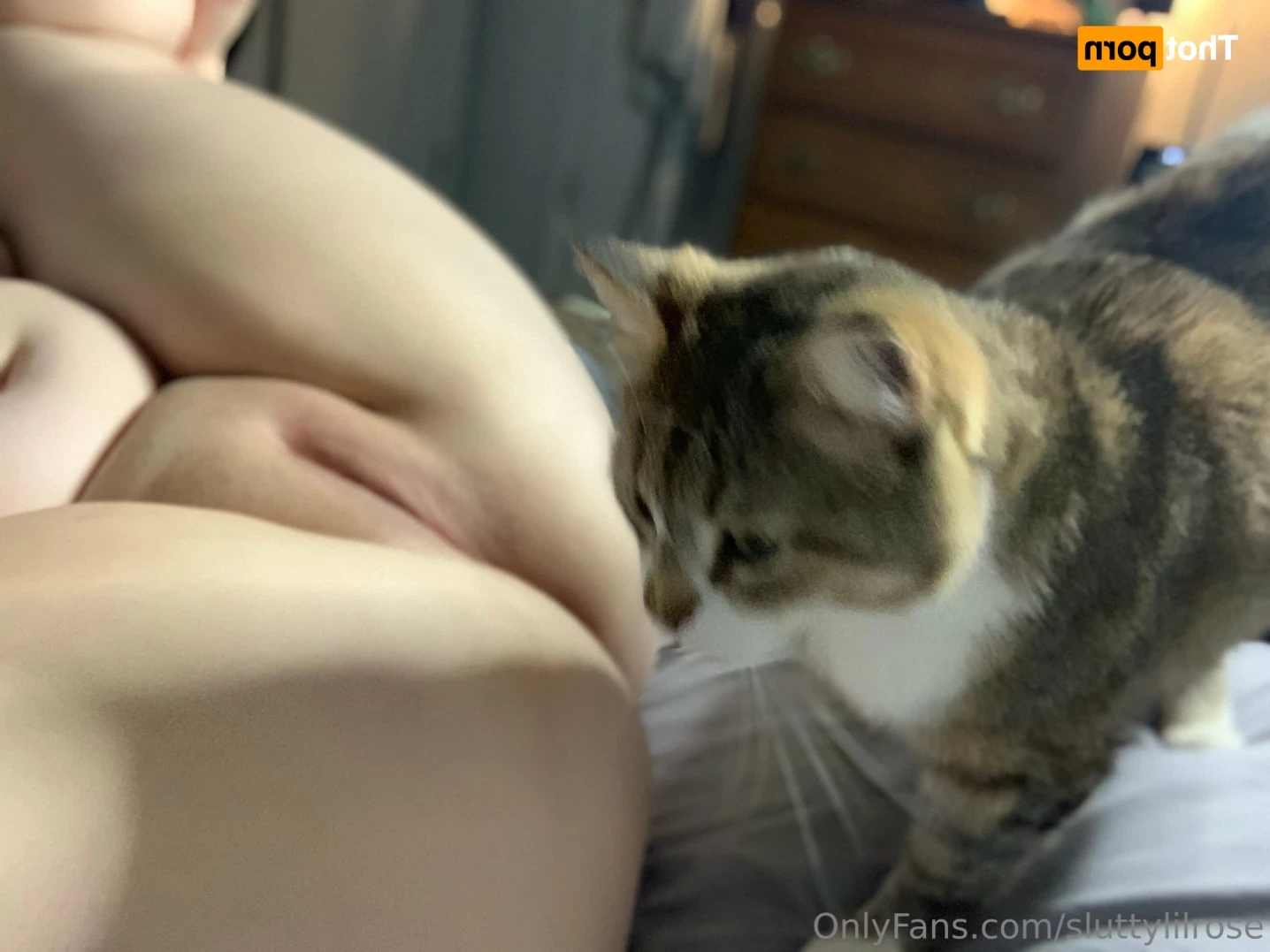 Rose 🌹 [ sluttylilrose ] Onlyfans leaked photo 11038418 on Hotleaks.tv