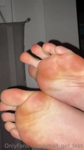 14455021