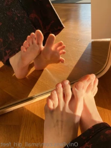 15403284
