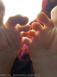 15455669