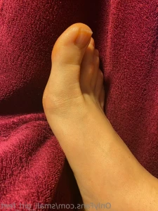 15573076