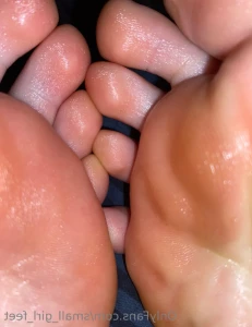 16273451