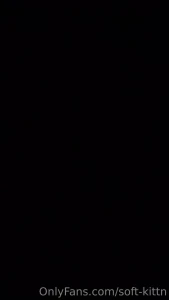13142629