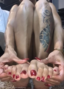 14799693