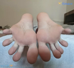 13350861