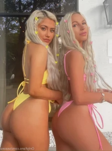 16059345