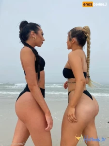 16120455