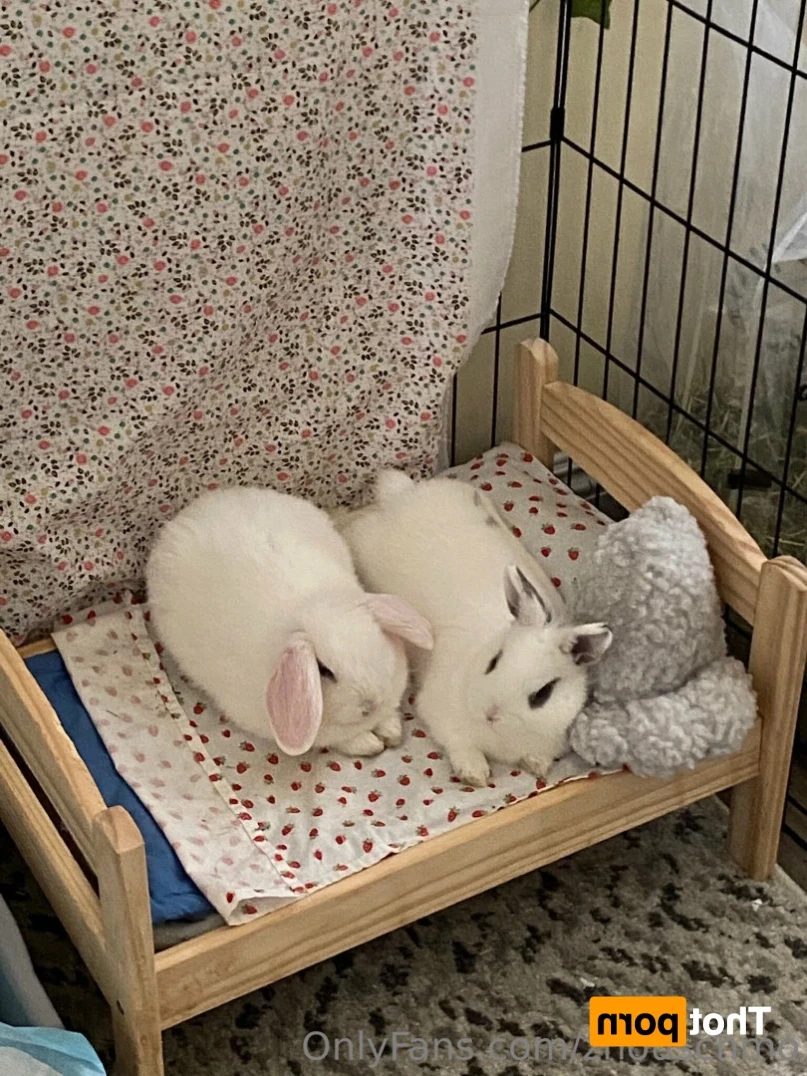 ✿  *ﾟ♡(˶ˆ꒳ˆ˶) Angela bunny (˶ˆ꒳ˆ˶)*ﾟ✿ [ stanshinobu ] Onlyfans leaked photo 11332313 on Hotleaks.tv