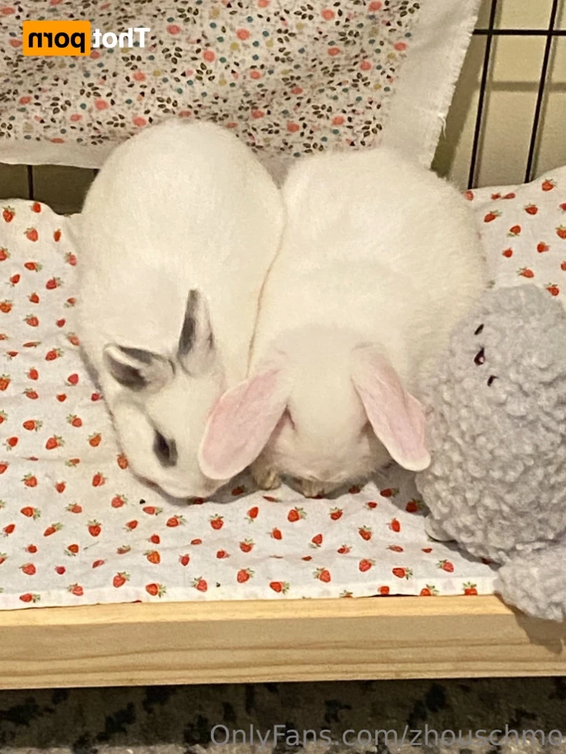 ✿  *ﾟ♡(˶ˆ꒳ˆ˶) Angela bunny (˶ˆ꒳ˆ˶)*ﾟ✿ [ stanshinobu ] Onlyfans leaked photo 13463369 on Hotleaks.tv