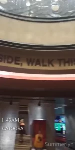 18115434