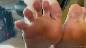18114407