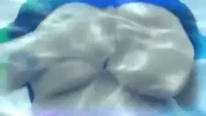 10800497