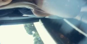 10800461