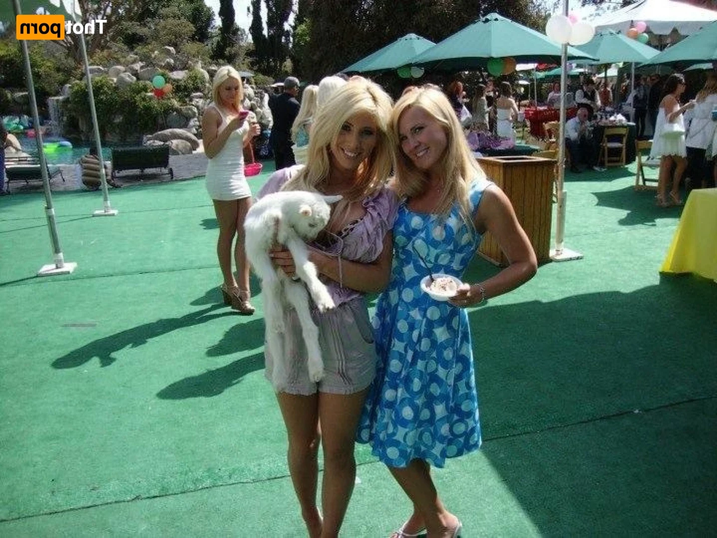Tasha Reign [ tashareign ] Onlyfans leaked photo 13261248 on Hotleaks.tv
