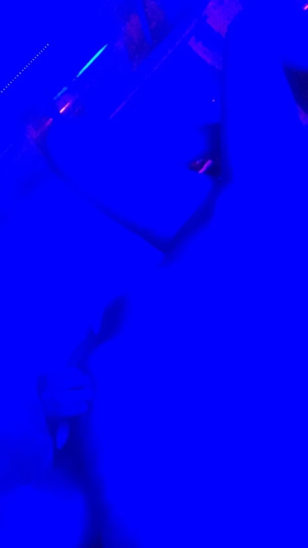 Tasha Reign [ tashareign ] Onlyfans leaked photo 14742190 on Hotleaks.tv