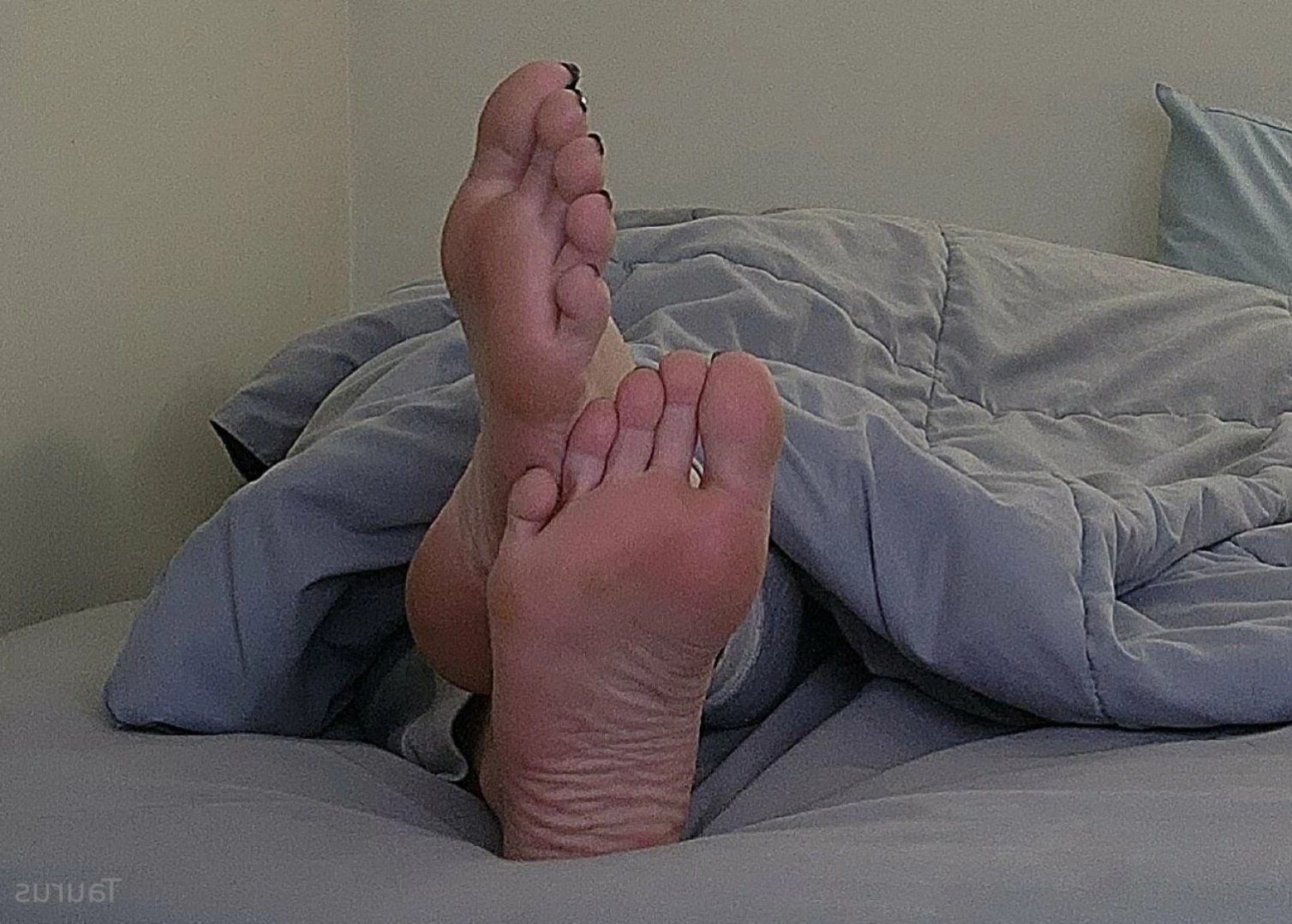 Goddess Taurus✨♉️ [ tastytaurustoes ] Onlyfans leaked photo 12049289 on Hotleaks.tv