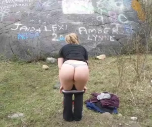 18113668