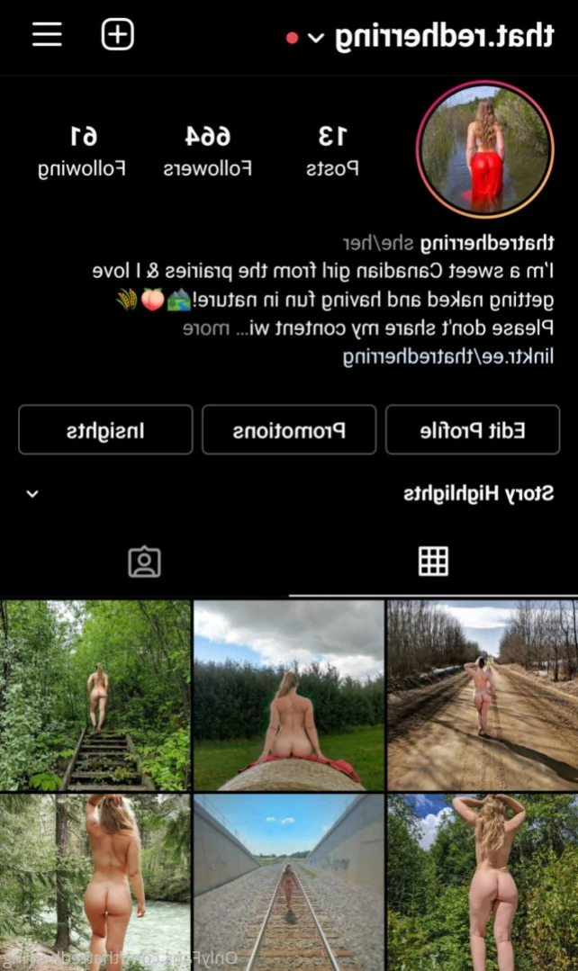 Ivy Orwell [ thatredherring ] Onlyfans leaked photo 12039849 on Hotleaks.tv