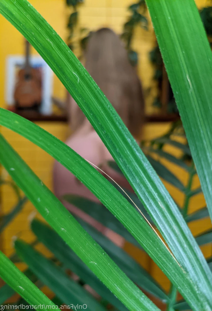 Ivy Orwell [ thatredherring ] Onlyfans leaked photo 12049788 on Hotleaks.tv