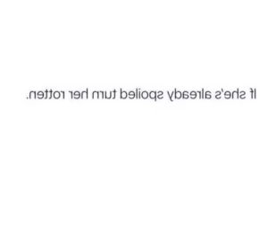 15292825