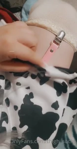 10798881