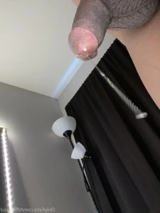 12366231