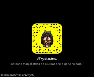 16303075