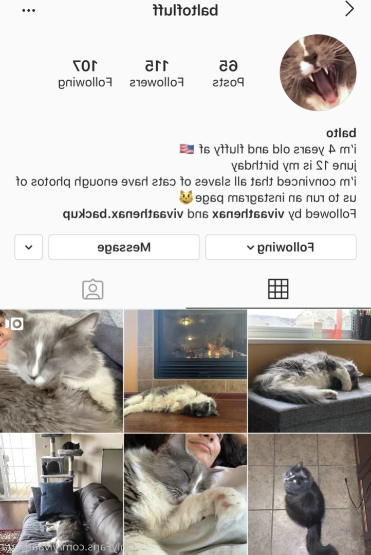Viva Athena [ vivaathena ] Onlyfans leaked photo 16035827 on Hotleaks.tv