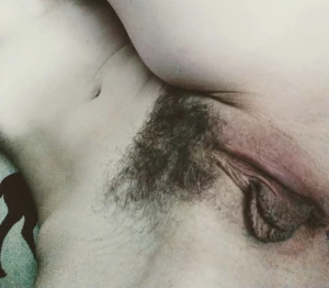 16206815