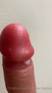 10796273