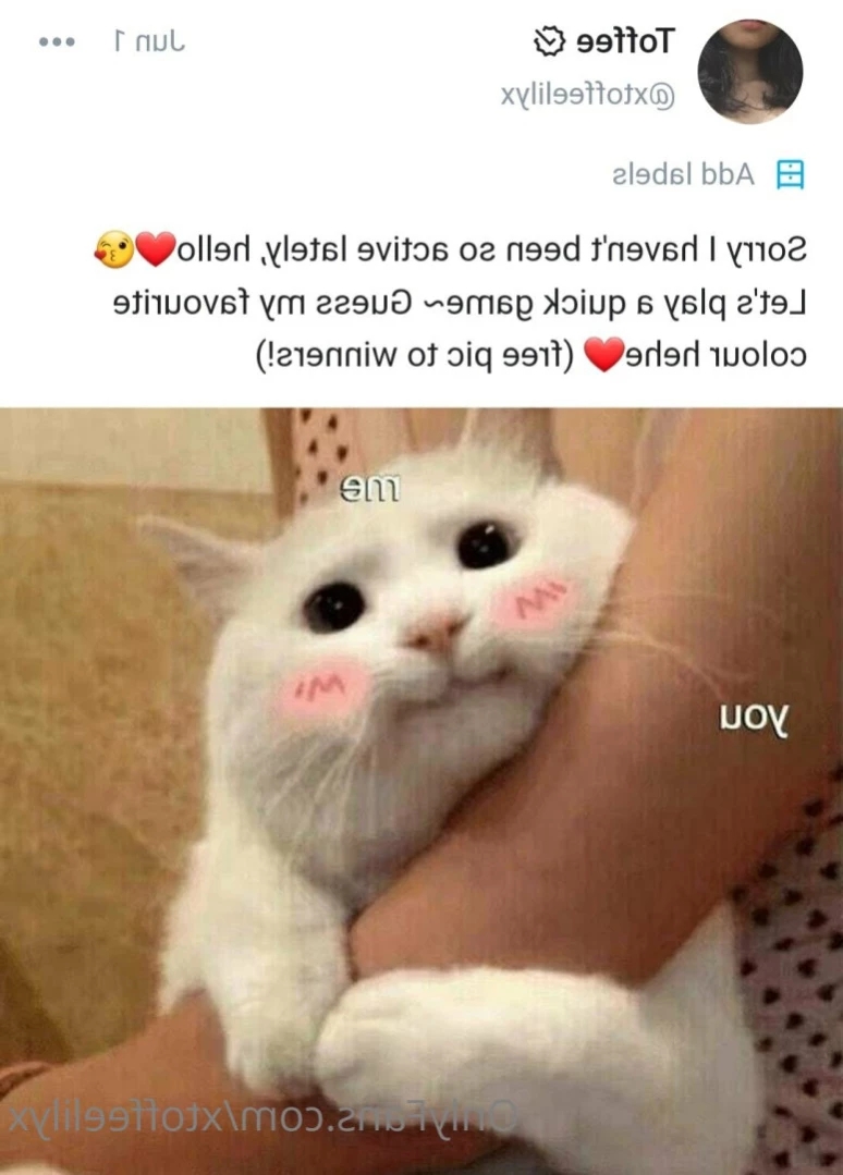Toffee❤️💝 [ xtoffeelilyx ] Onlyfans leaked photo 12123524 on Hotleaks.tv