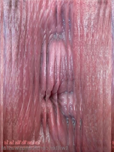 14999797