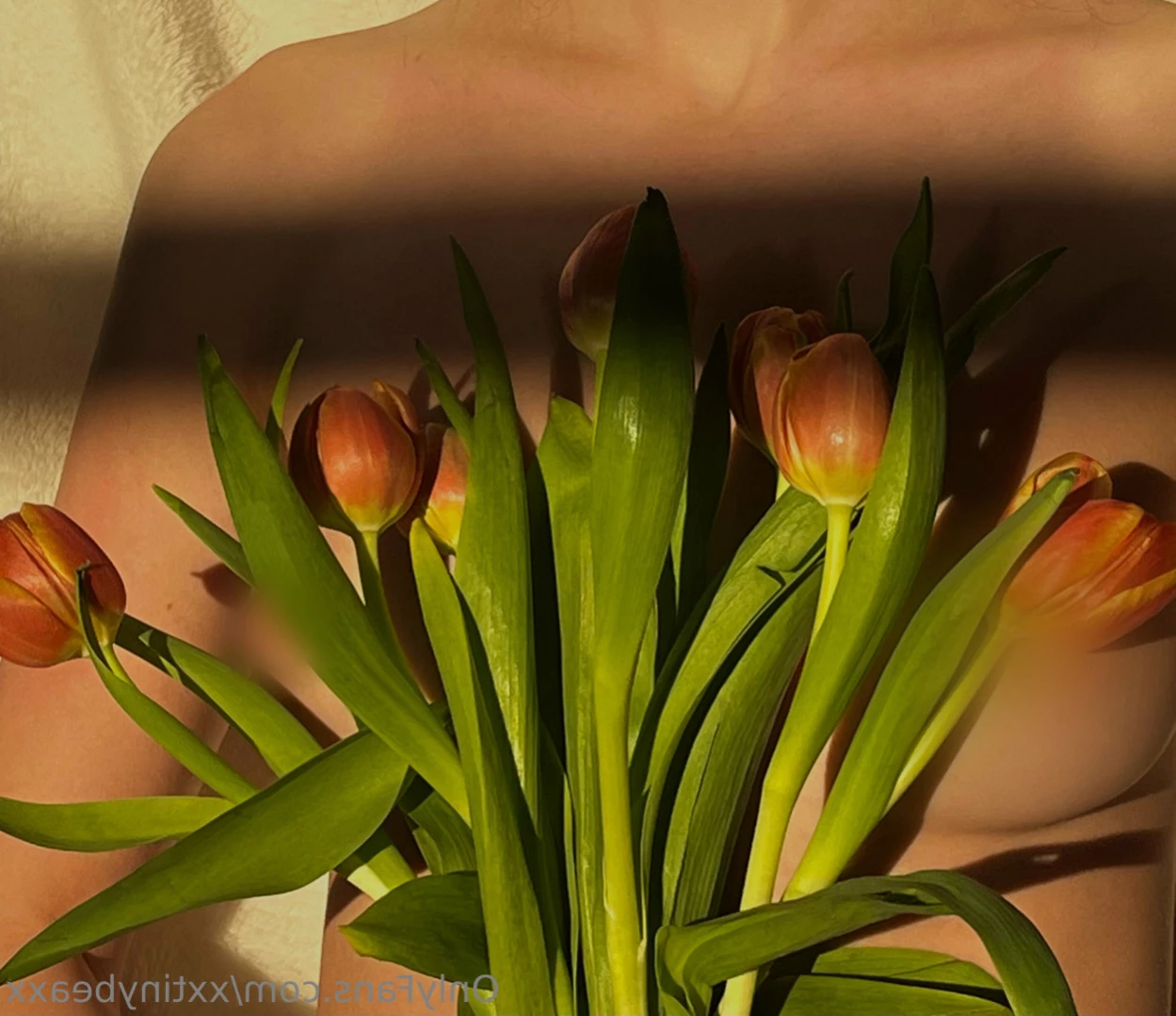 TinyBea [ xxtinybeaxx ] Onlyfans leaked photo 15137049 on Hotleaks.tv